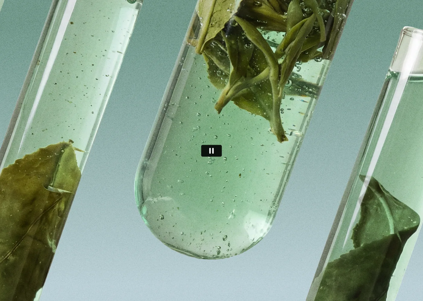 Test tube with green tea leaves suspended in clear serum